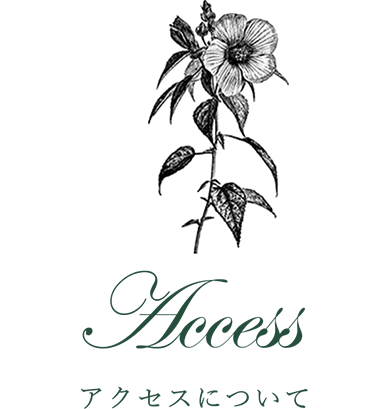 アクセスについて